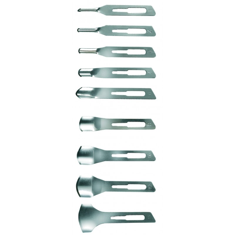 SGORBIA MONOUSO CONF.20pz