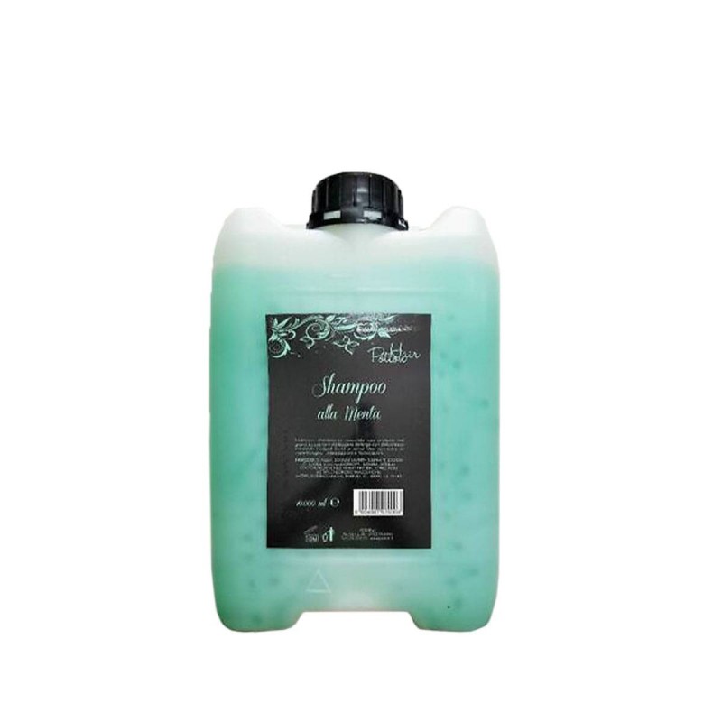 SETA SHAMPOO TANICA 10L MENTA