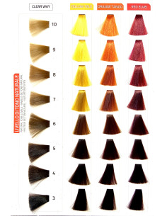 NEW JUST COLOR 150 ML 2