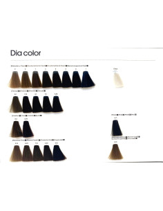 DIA COLOR 60 ml 2