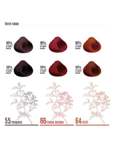 NATURAL LIFE LVDT 40GR