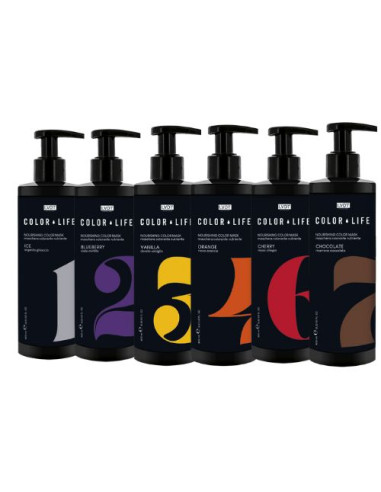 COLOR MASK 400 ml
