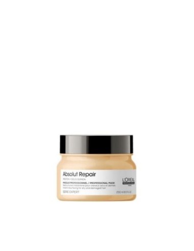 ABSOLUTE REP MASQUE 250ML