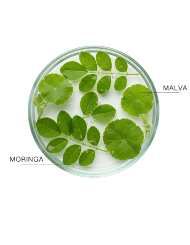 TRICOBOTANICA NEW  HYDRATING ANTI- FRIZZ  SPRAY  100 ml NEW