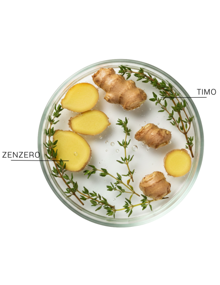 TRICOBOTANICA STIMULATING LOTION 12X6ML