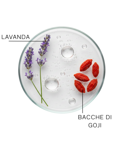 TRICOBOTANICA NO YELLOW SHAMPOO 300ML