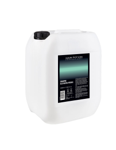 SETA SHAMPOO TANICA 10L MENTA