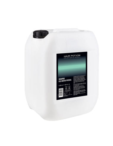 SETA SHAMPOO TANICA 10L MENTA