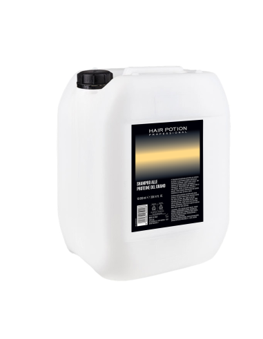 SETA SHAMPOO TANICA 10L PROTEINE DEL GRANO