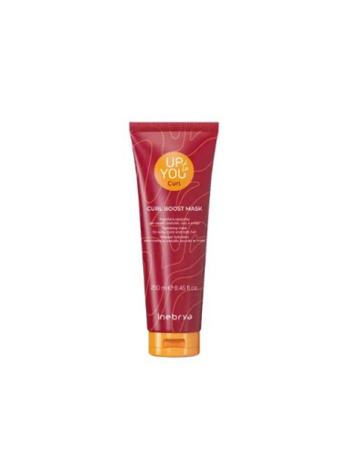 INEBRYA INEBRIA UP TO YOU CURL MASK 250 ML NEW