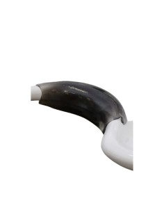 APPOGGIACOLLO IN SILICONE